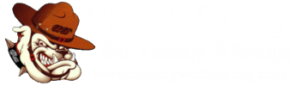 Bad Dog Web Hosting & Design